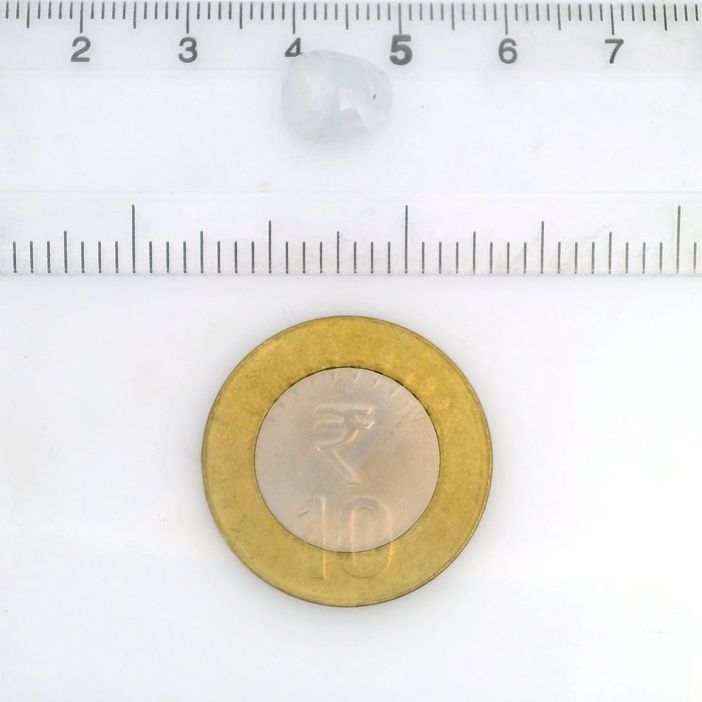 ITLGR_121160_SCALE.webp