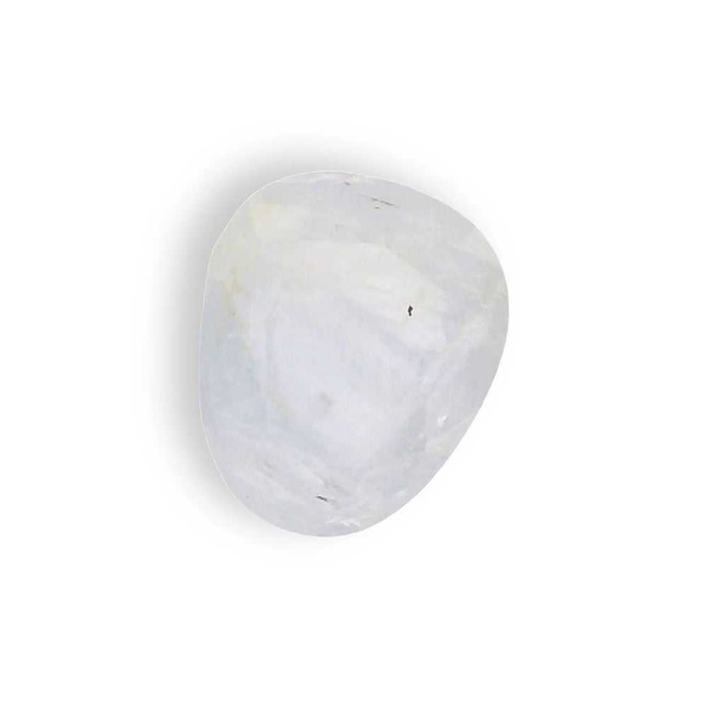 ITLGR_121160_TOP.webp