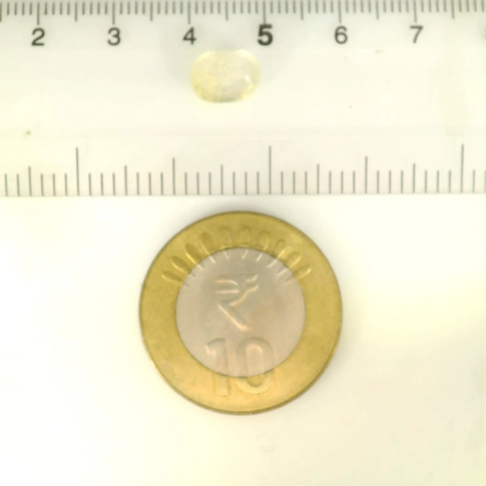 ITLGR_121186_SCALE.webp