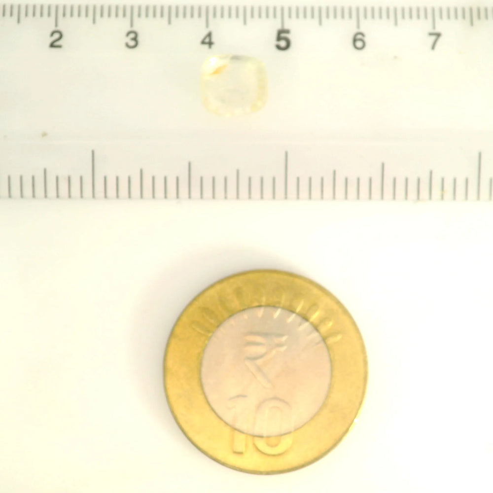 ITLGR_121205_SCALE.webp