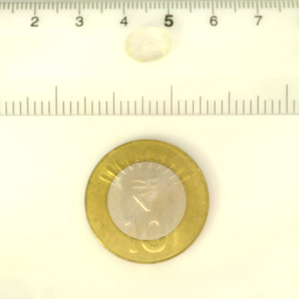 ITLGR_121213_SCALE.webp