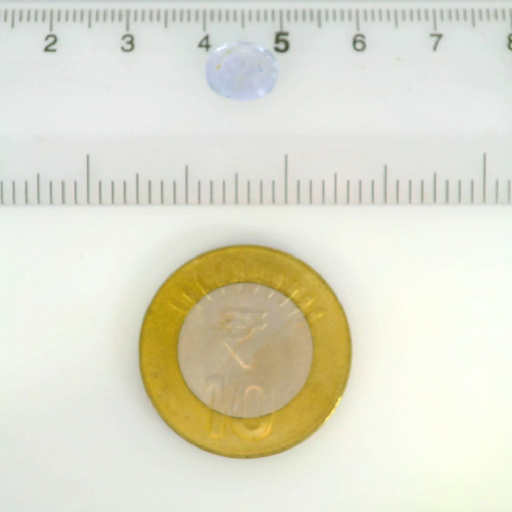ITLGR_121218_SCALE.webp