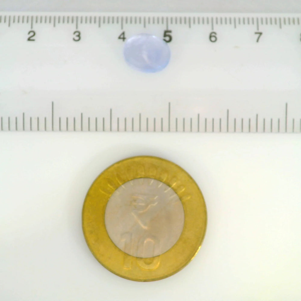 ITLGR_121231_SCALE.webp