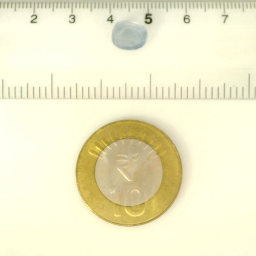 ITLGR_121238_SCALE.webp