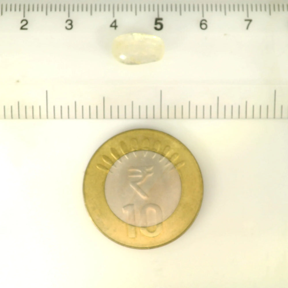 ITLGR_121266_SCALE.webp