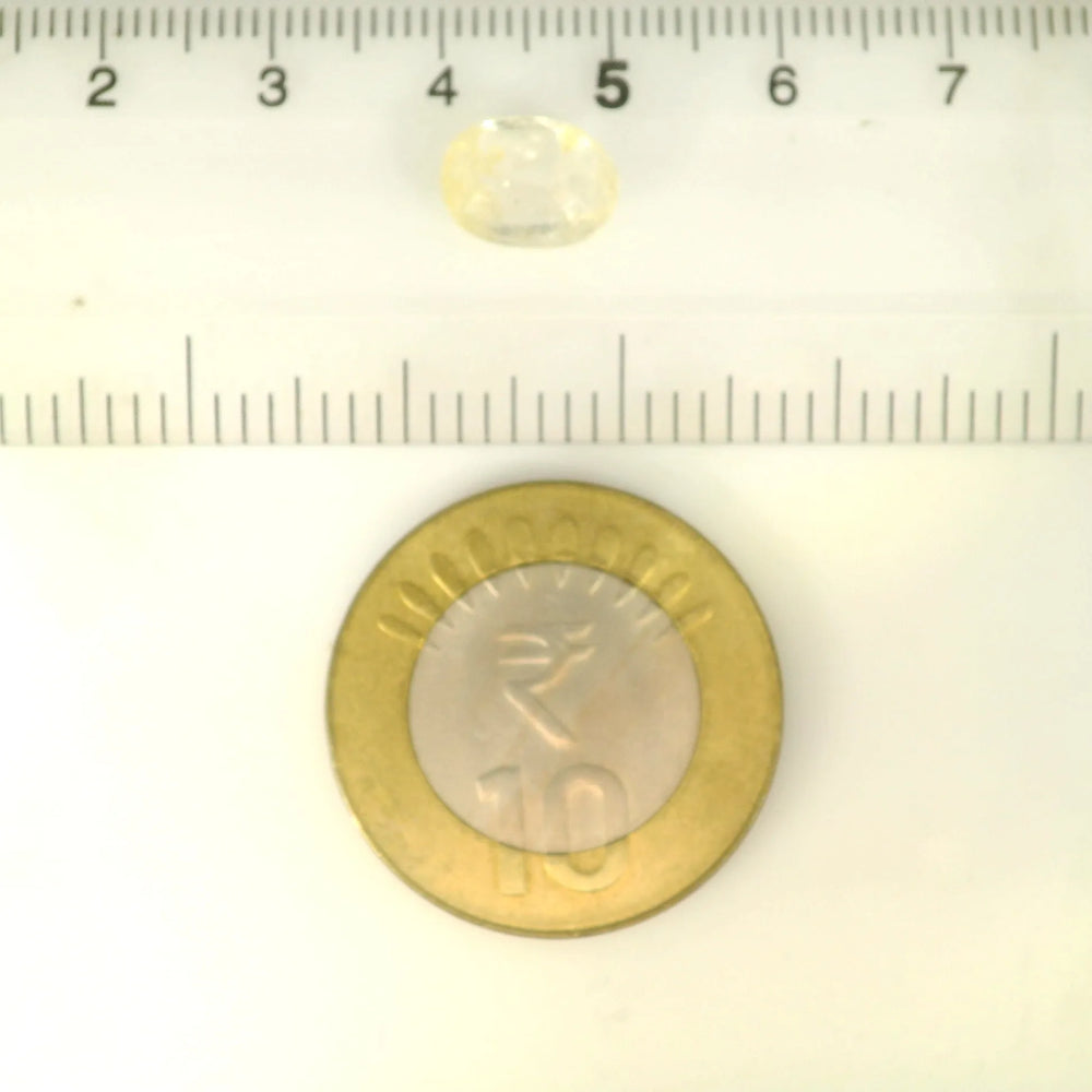 ITLGR_121269_SCALE.webp