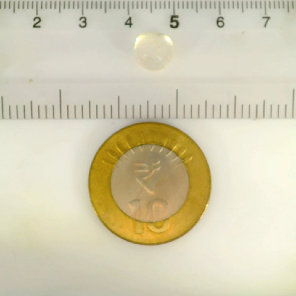 ITLGR_121302_SCALE.webp
