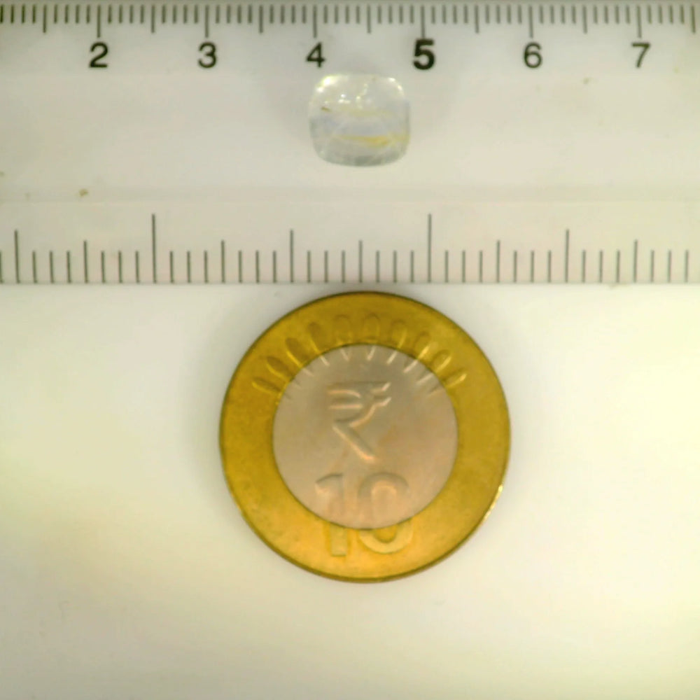 ITLGR_121310_SCALE.webp
