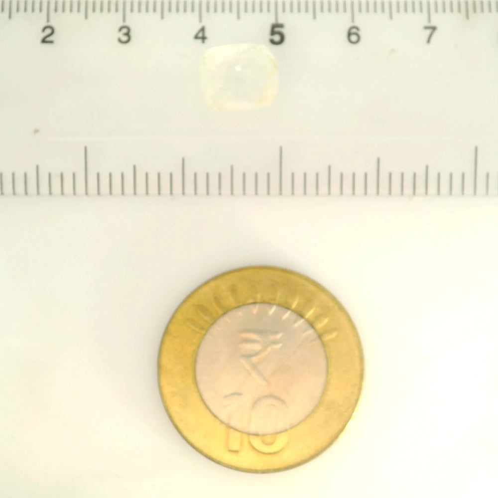 ITLGR_121311_SCALE.webp