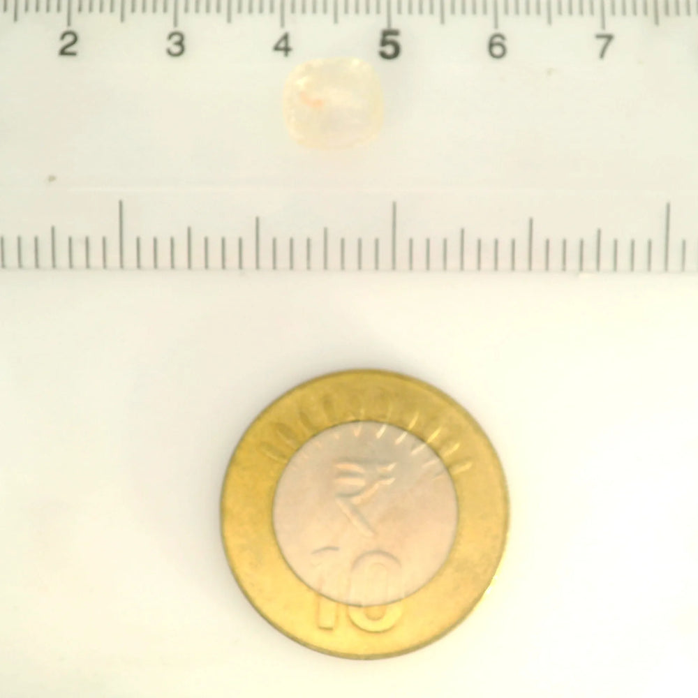 ITLGR_121315_SCALE.webp