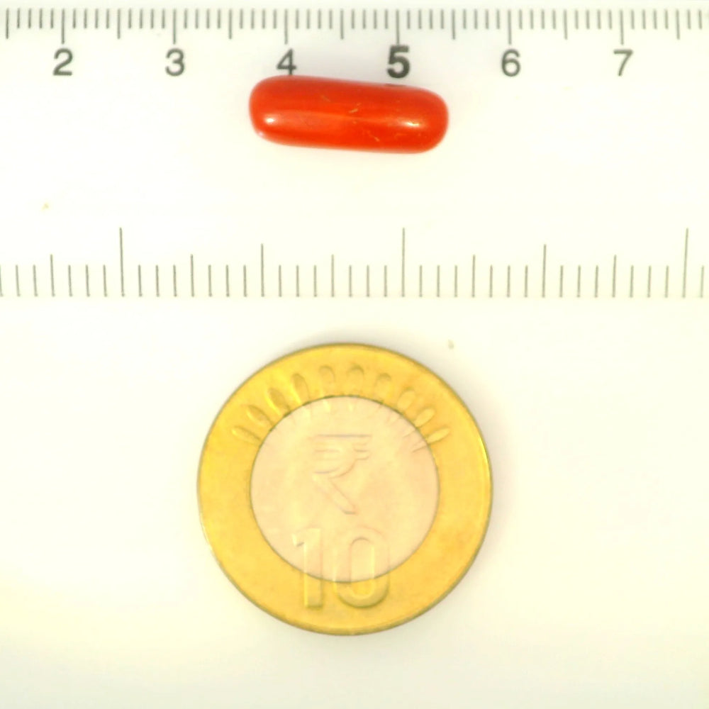 ITLGR_121327_SCALE.webp