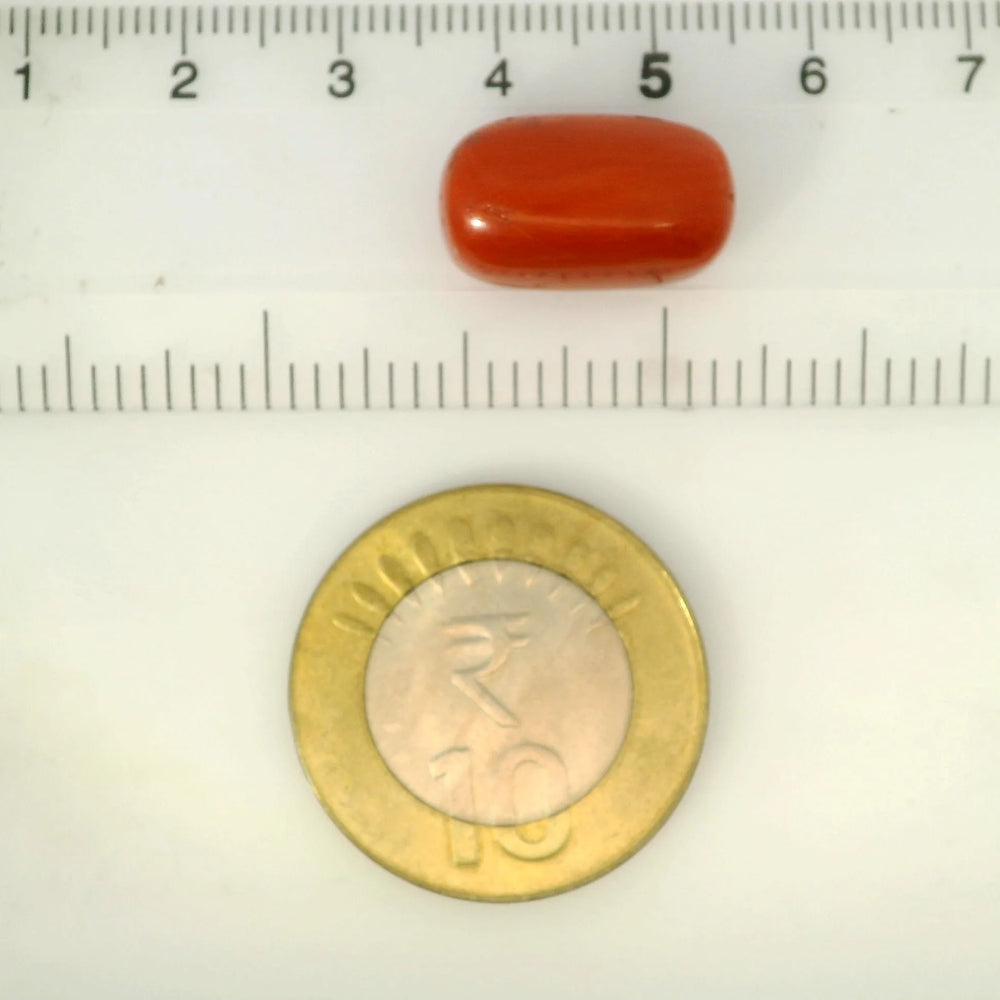 ITLGR_121331_SCALE.webp