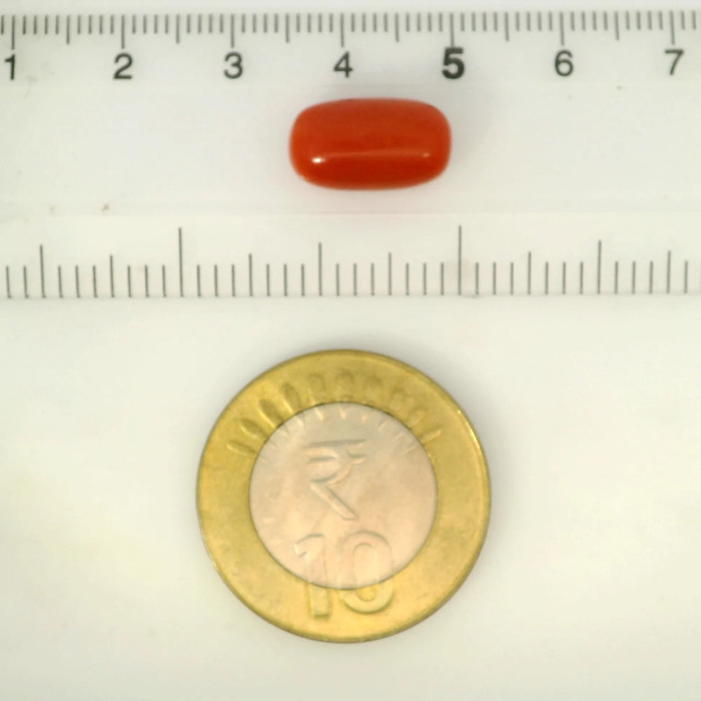 ITLGR_121333_SCALE.webp
