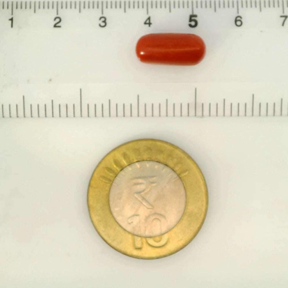 ITLGR_121336_SCALE.webp