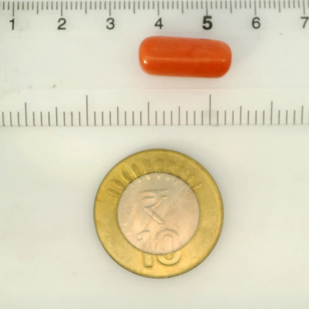 ITLGR_121336_SCALE.webp