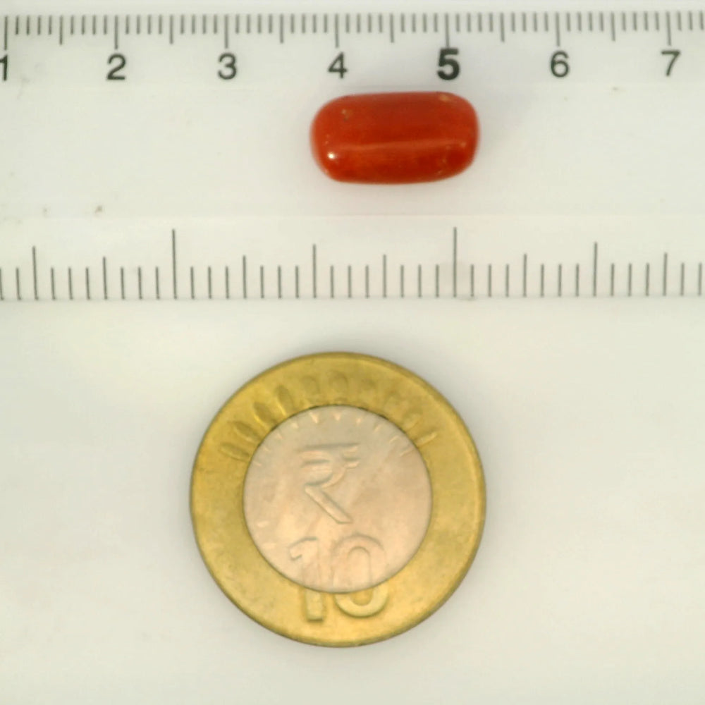 ITLGR_121339_SCALE.webp