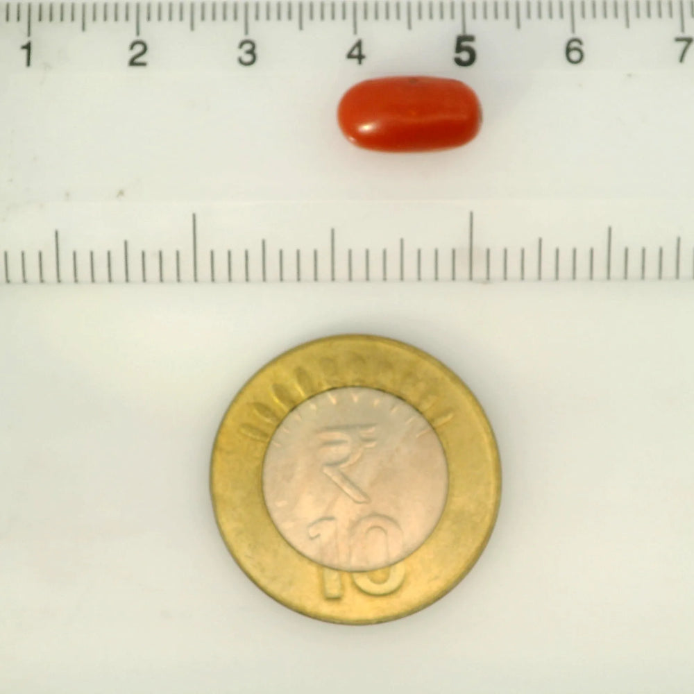 ITLGR_121340_SCALE.webp