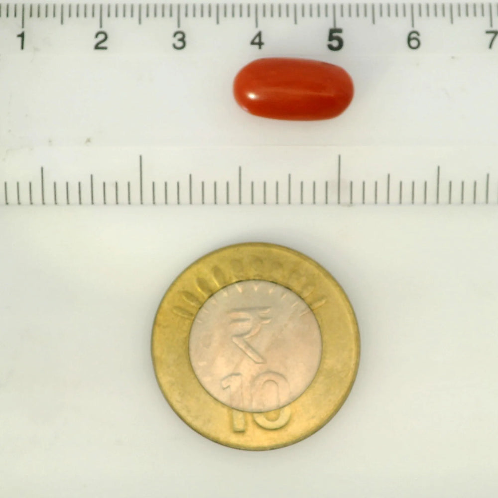 ITLGR_121341_SCALE.webp