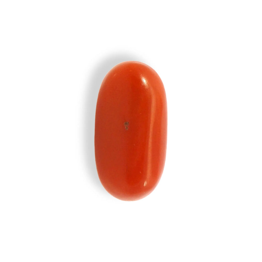 ITLGR_121342_TOP.webp