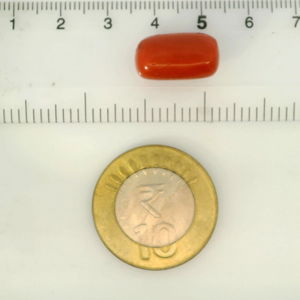 ITLGR_121346_SCALE.webp