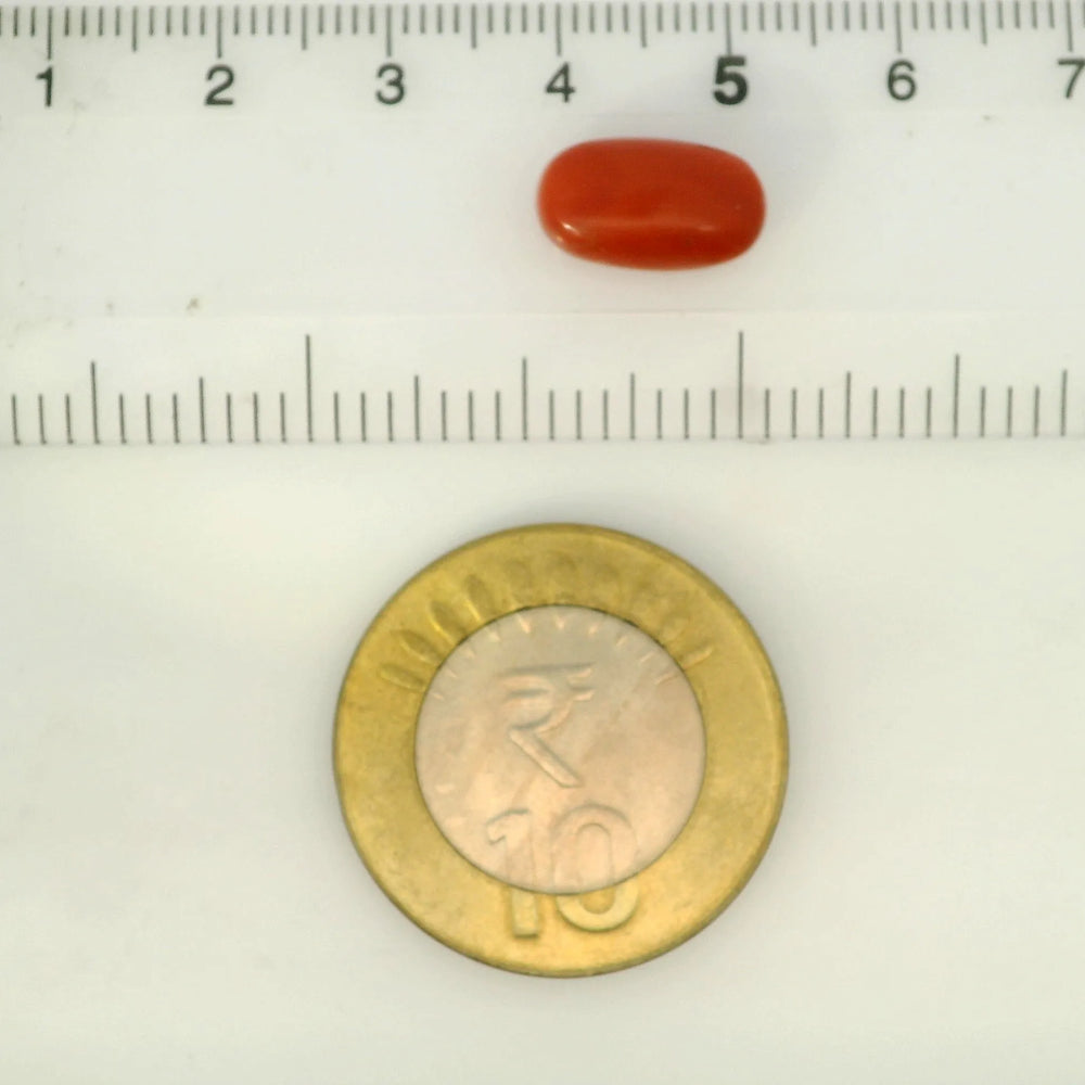 ITLGR_121347_SCALE.webp
