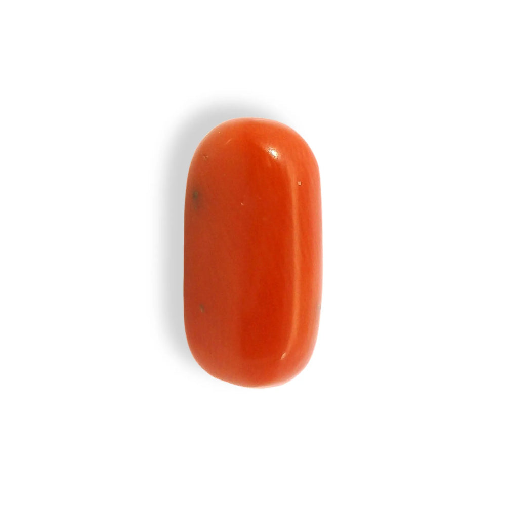ITLGR_121350_TOP.webp