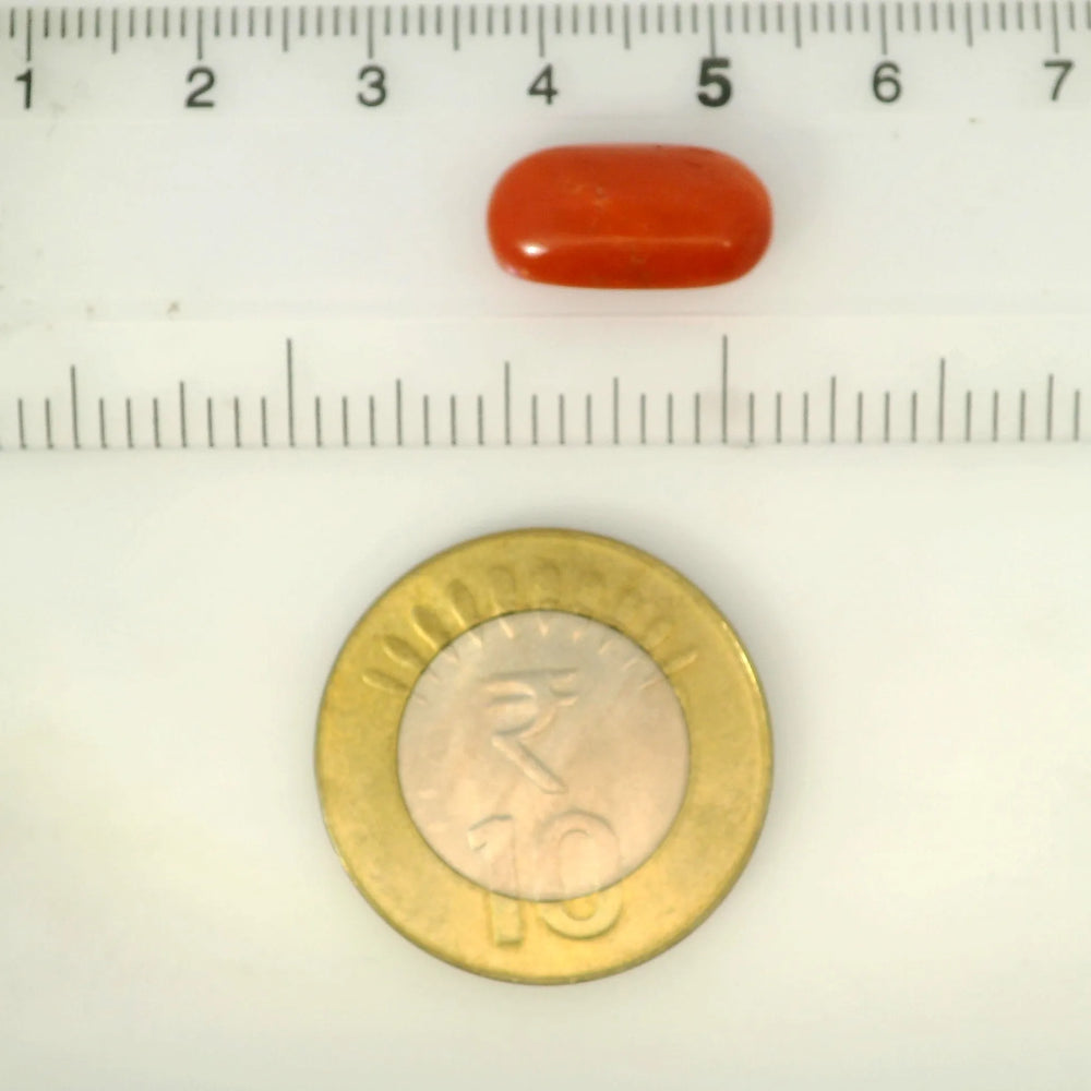 ITLGR_121352_SCALE.webp