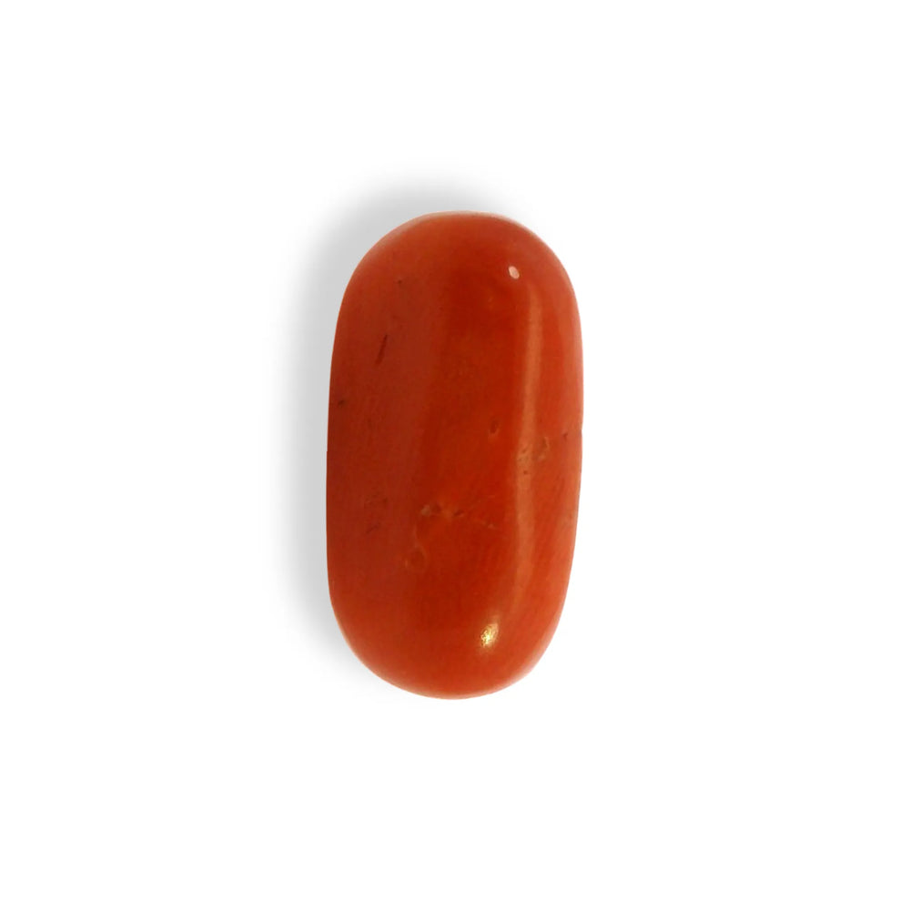 ITLGR_121352_TOP.webp