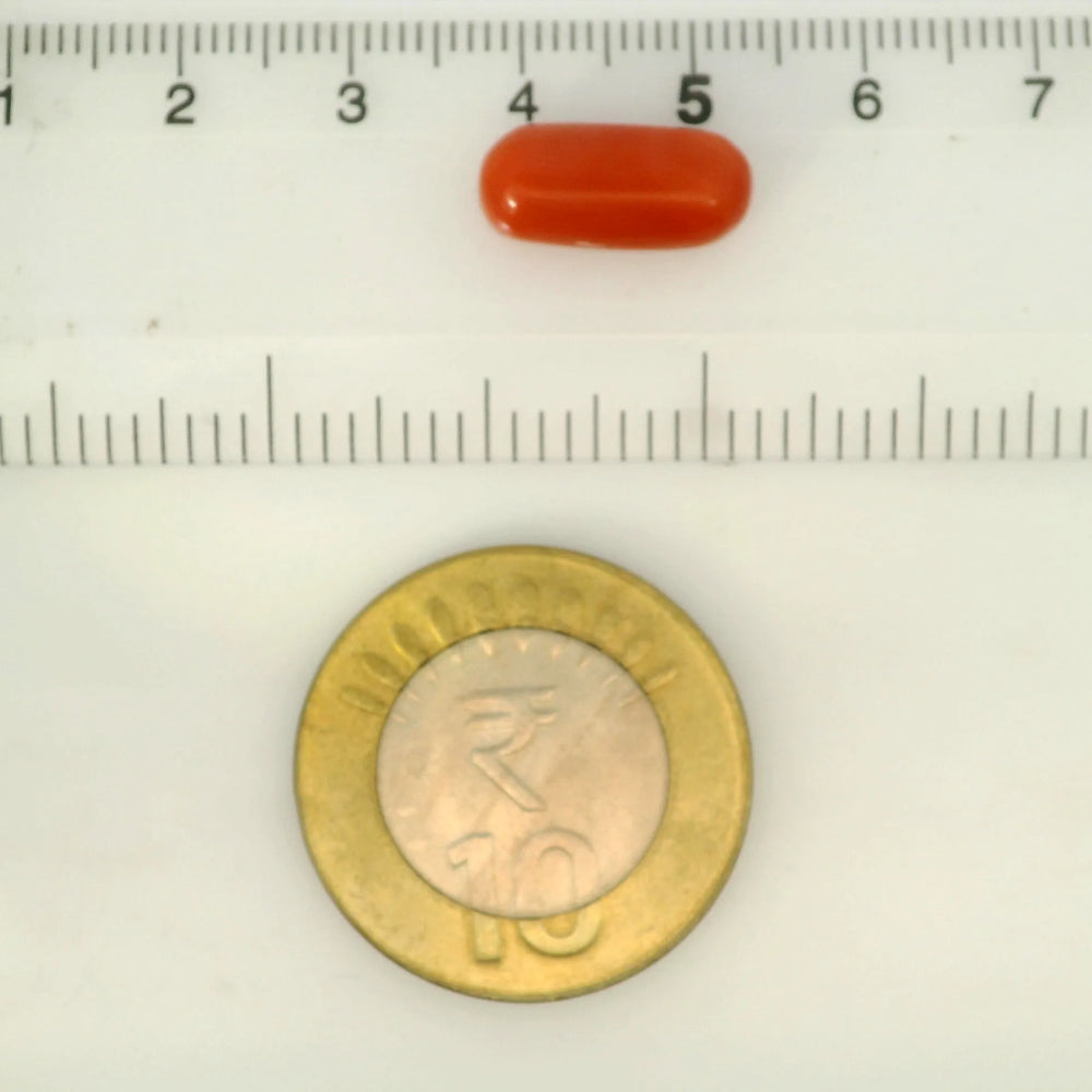 ITLGR_121354_SCALE.webp
