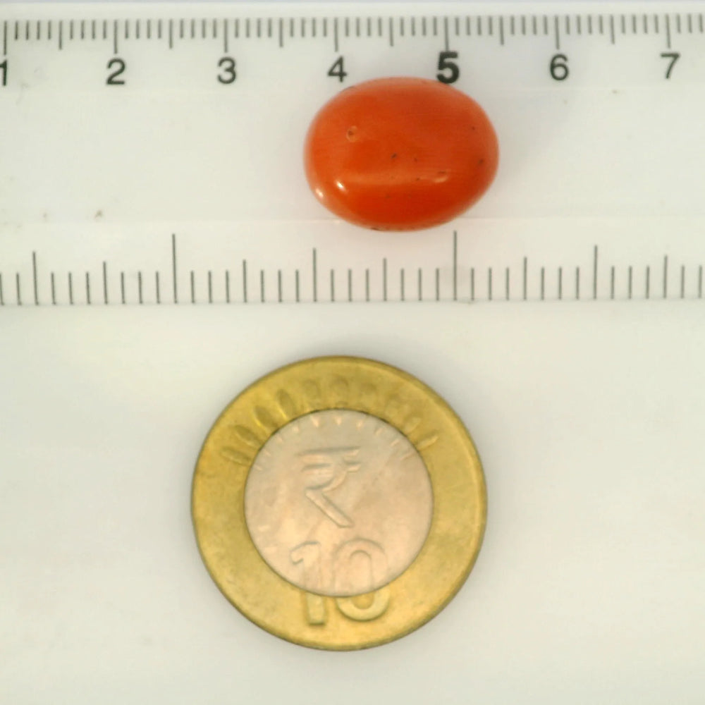 ITLGR_121355_SCALE.webp