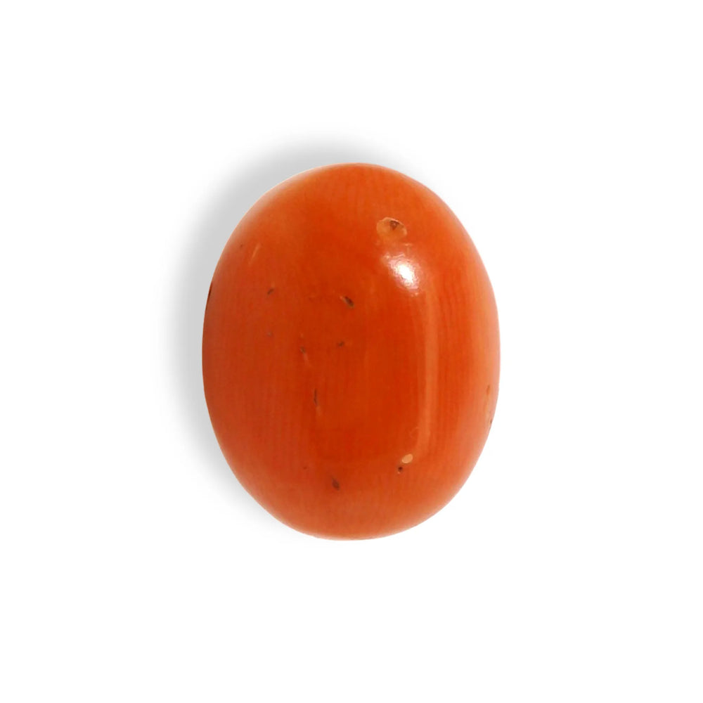 ITLGR_121355_TOP.webp