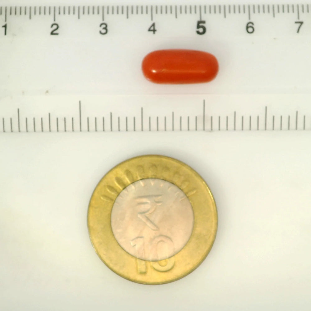 ITLGR_121359_SCALE.webp