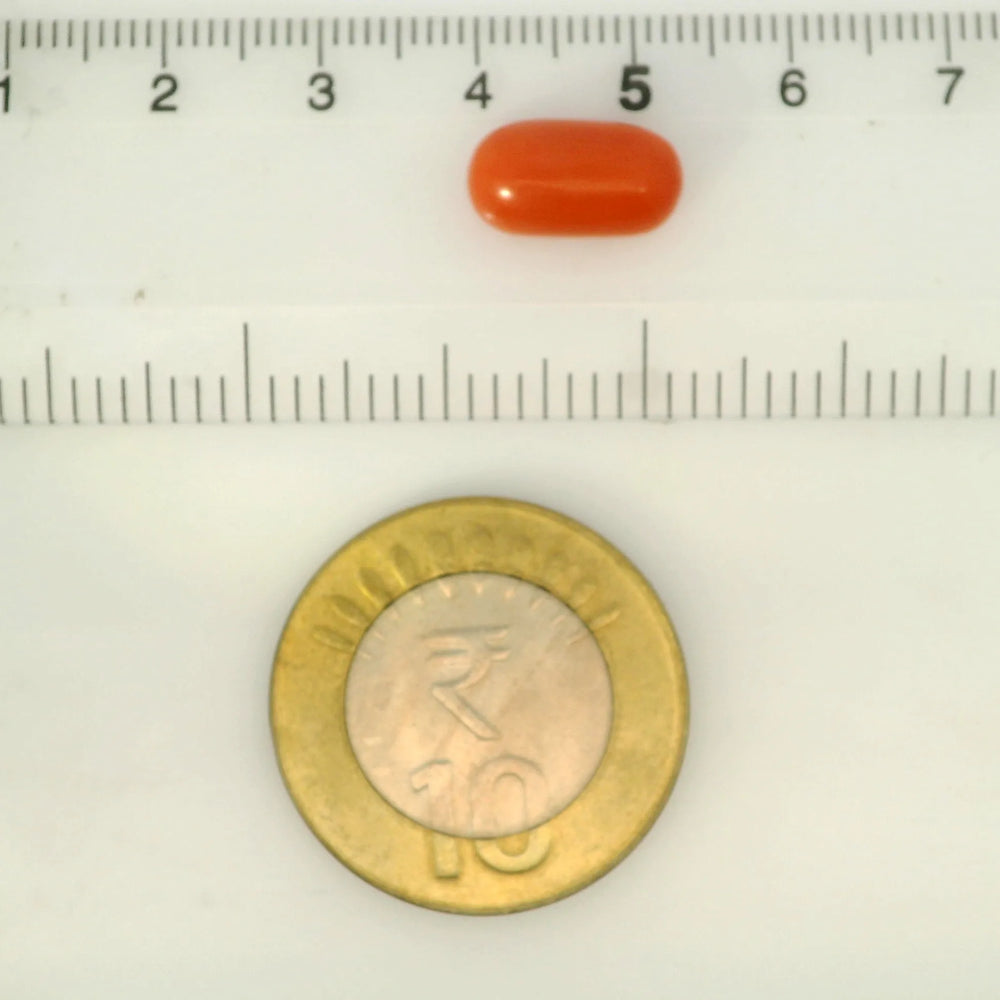 ITLGR_121360_SCALE.webp