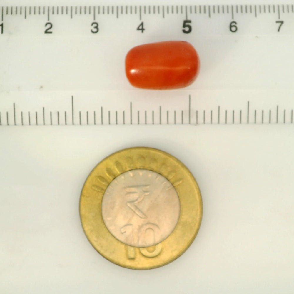 ITLGR_121365_SCALE.webp