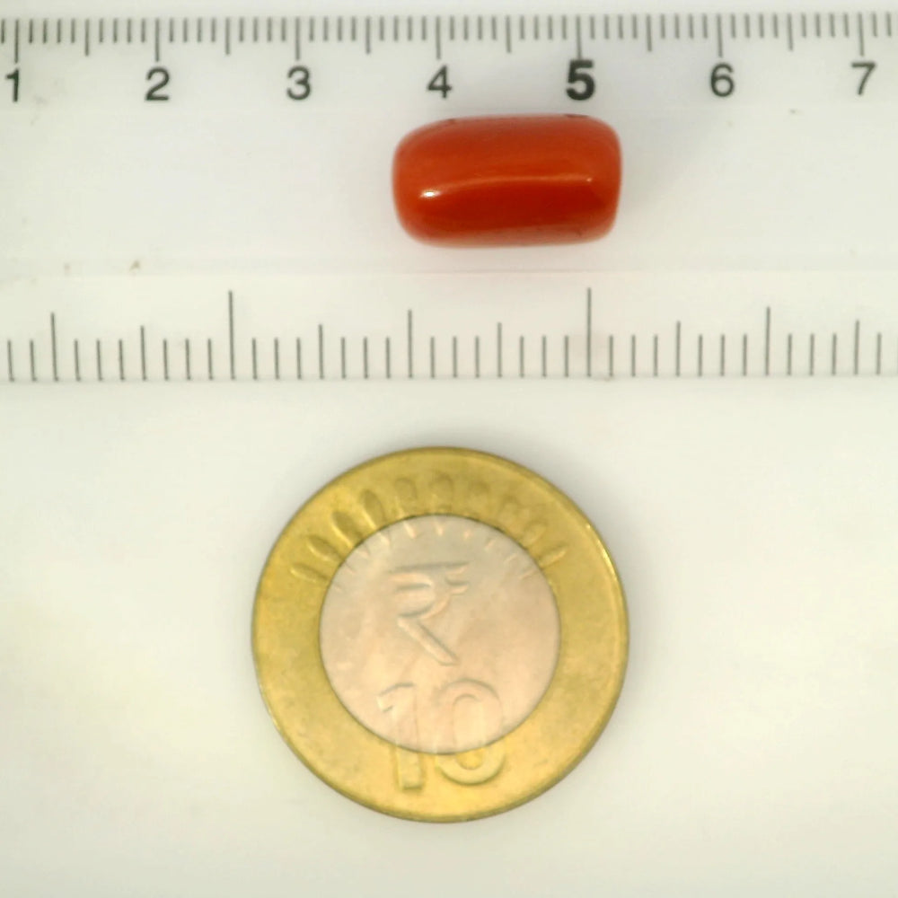 ITLGR_121366_SCALE.webp