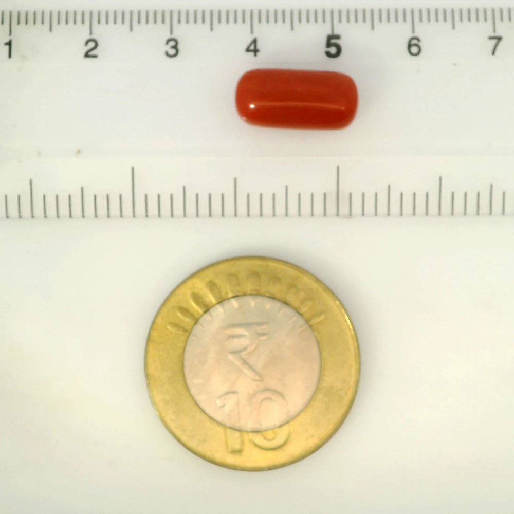 ITLGR_121367_SCALE.webp