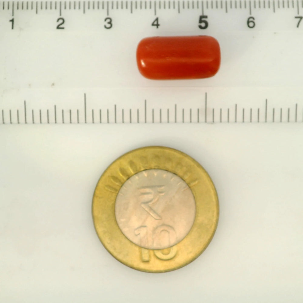 ITLGR_121368_SCALE.webp
