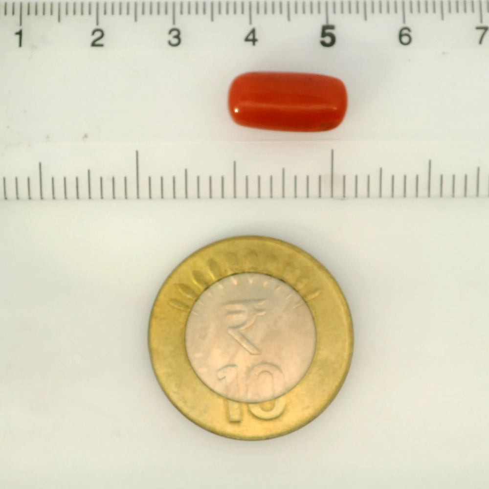 ITLGR_121372_SCALE.webp