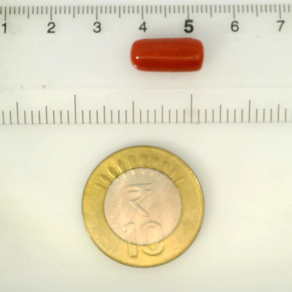 ITLGR_121373_SCALE.webp