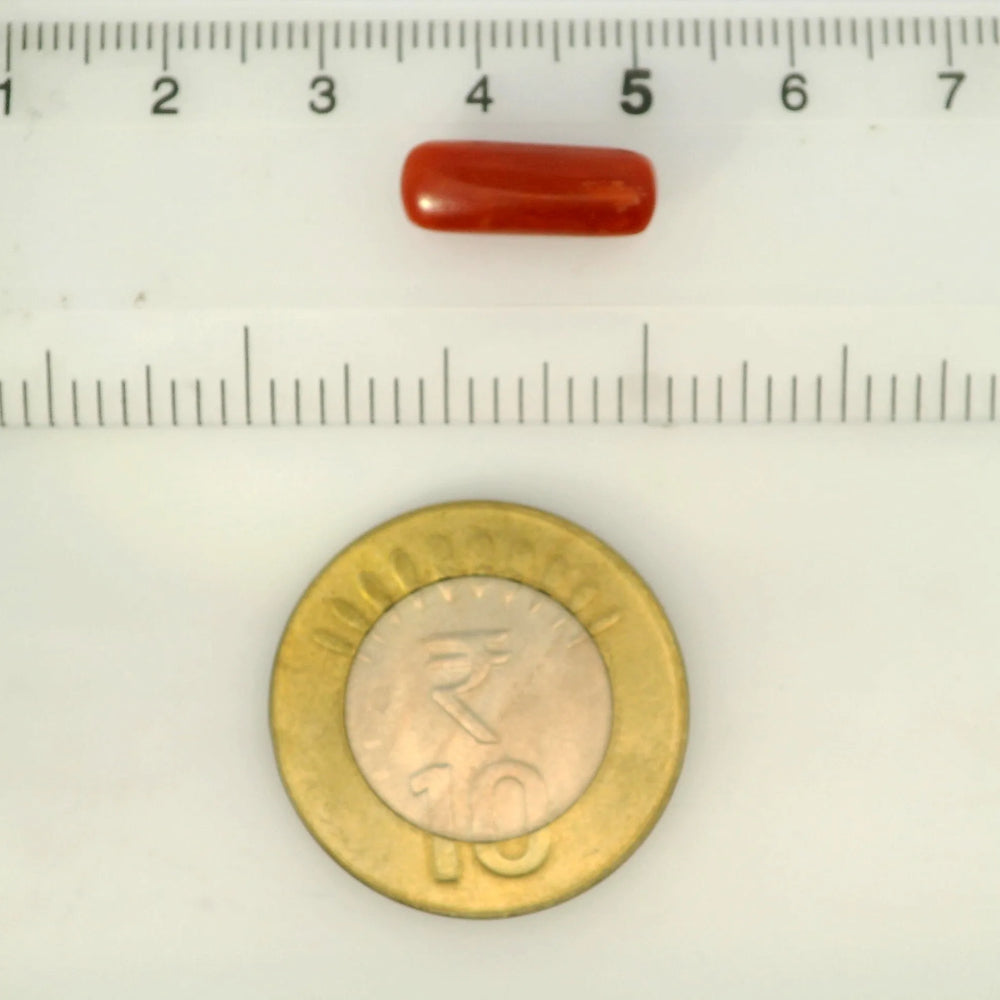 ITLGR_121374_SCALE.webp