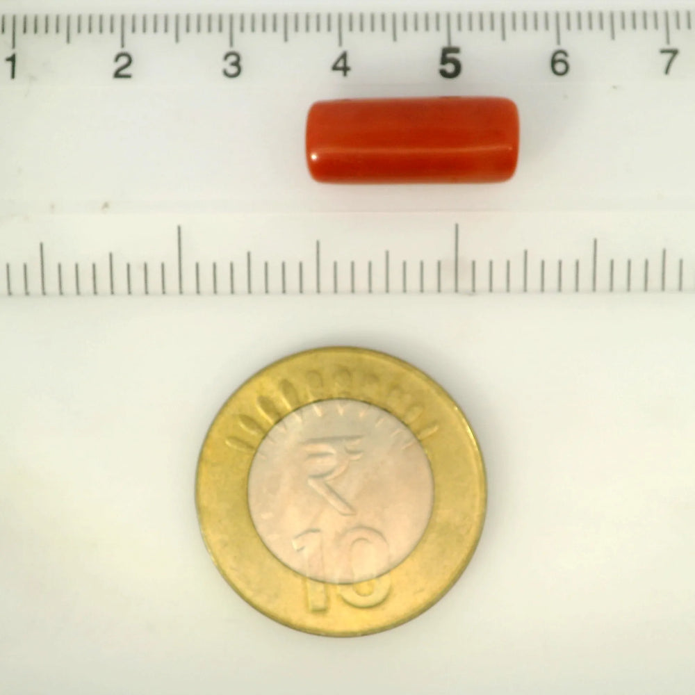 ITLGR_121381_SCALE.webp