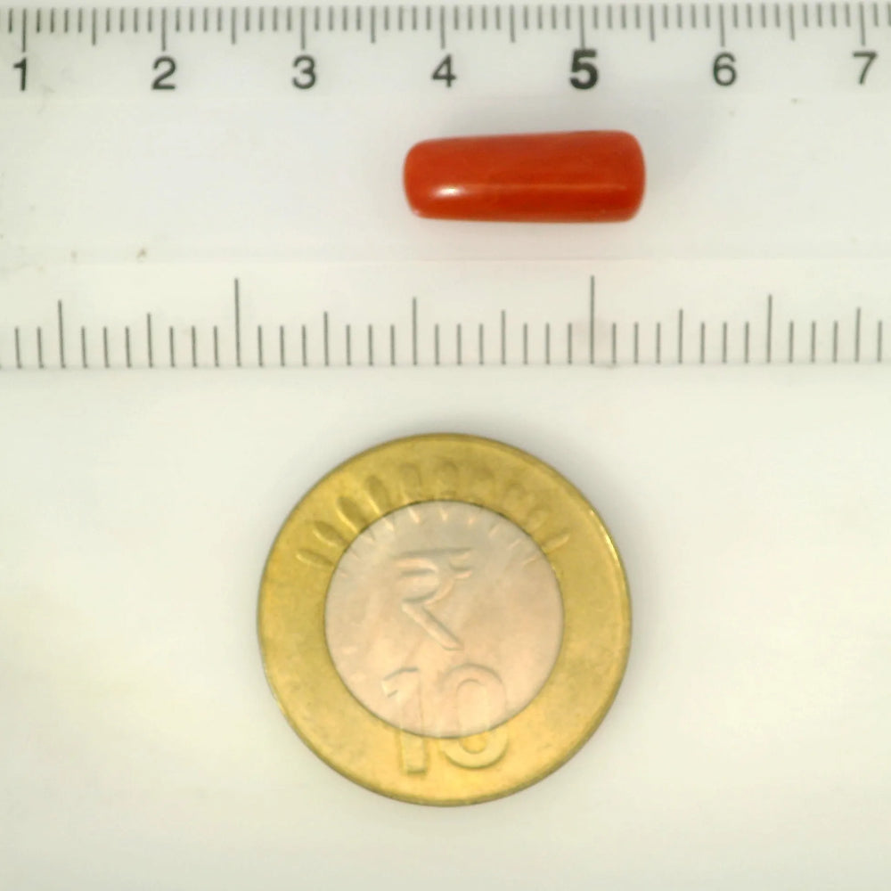 ITLGR_121385_SCALE.webp