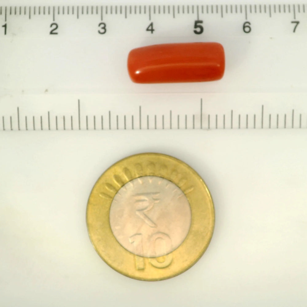 ITLGR_121388_SCALE.webp
