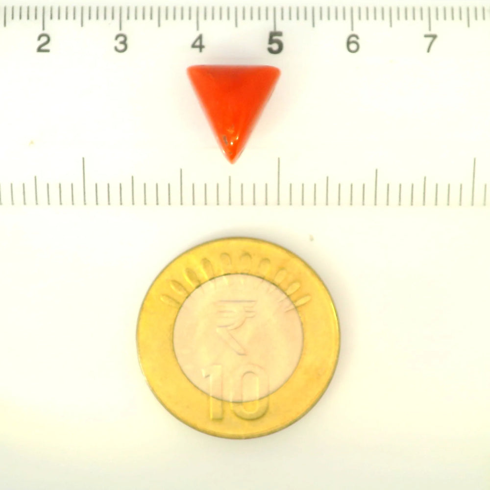 ITLGR_121405_SCALE.webp