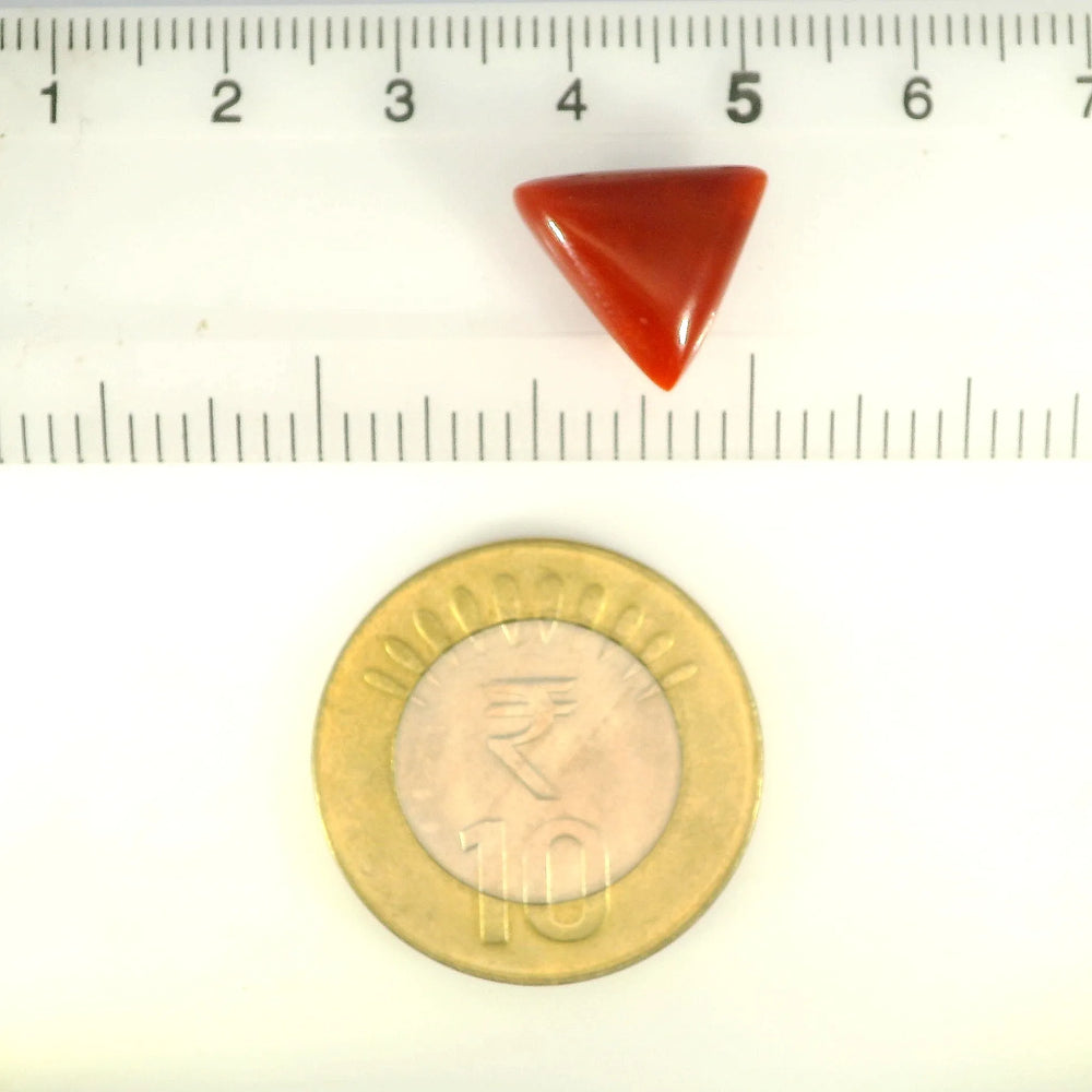 ITLGR_121419_SCALE.webp