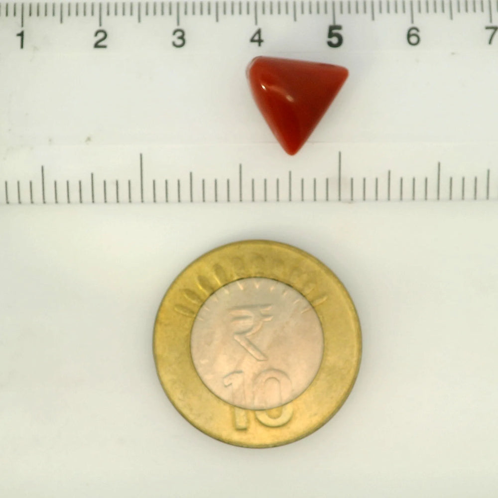 ITLGR_121421_SCALE.webp