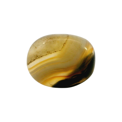 Indian Agate 8.31 Carat / 9.24 Ratti, Unheated and Untreated – No indications of treatment observed – front view