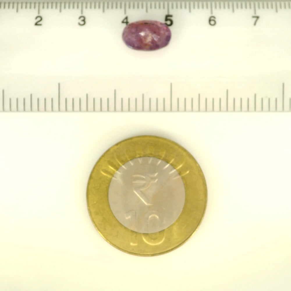 ITLGR_121664_SCALE.webp