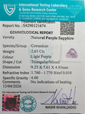 ITLGR_121674_CERTIFICATE.webp