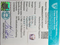 ITLGR_121676_CERTIFICATE.webp